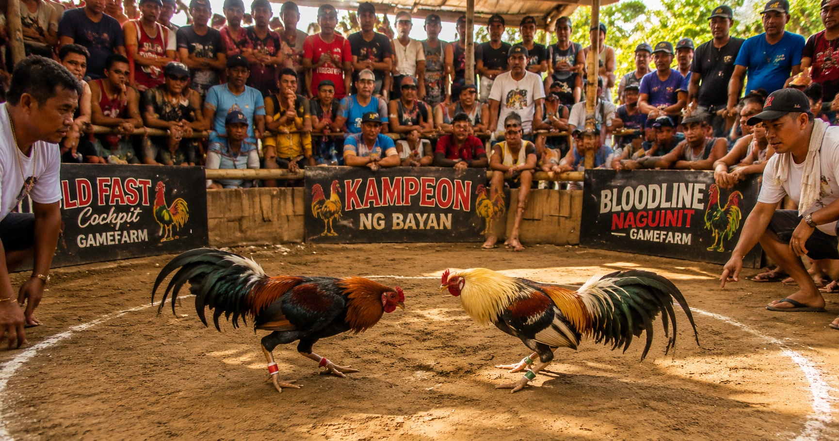 Comprehensive Guide to Phsabong Sabong and Its Role in Filipino Sports Culture - image 1 Comprehensive Guide to Phsabong Sabong and Its Role in Filipino Sports Culture - image 1